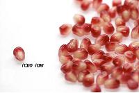 שנה טובה תשע"ד